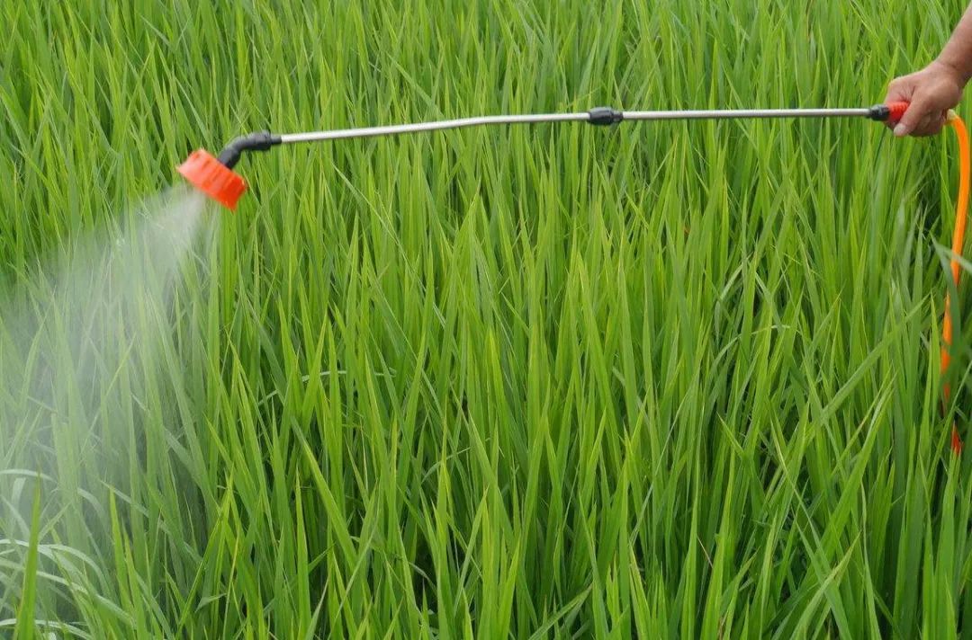 Emulsifiers for Agrochemicals