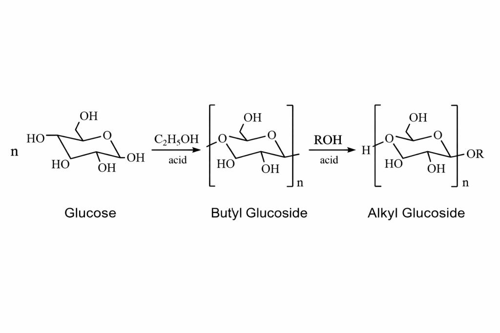 Transglycosidation synthesis mechanism of APG involving short-chain alcohol intermediates