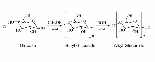 Transglycosidation synthesis mechanism of APG involving short-chain alcohol intermediates